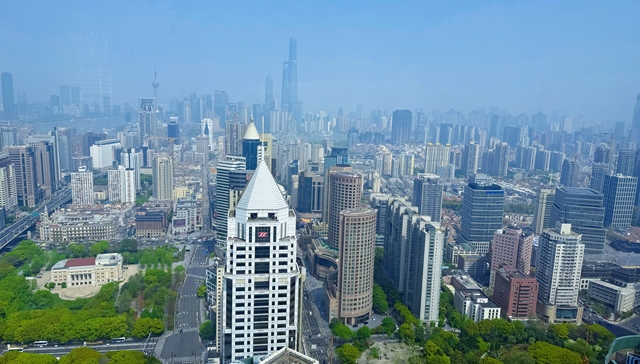 上海房企;年内最火土拍