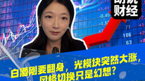 白酒刚要翻身，光模块突然大涨，风格切换只是幻想？