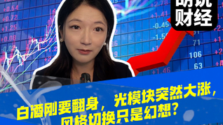 白酒刚要翻身，光模块突然大涨，风格切换只是幻想？