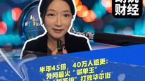 半年45倍，40万人追更：外网最火“喊单王”，靠“拆系统”打败华尔街
