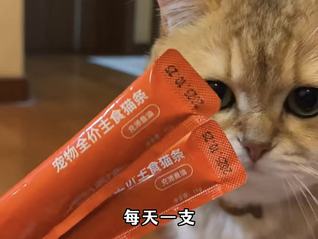 网红猫条被曝检出三聚氰胺，宠物品牌万物一口否认并公布送检结果