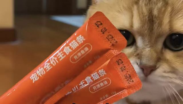 网红猫条;三聚氰胺;万物一口;否认;送检结果