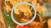 小菜园堂食被曝吃出蟑螂，店长称确实是我们的问题