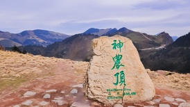 地方新闻精选 | 神农架景区就“圈国道收费”致歉 长江江豚监测数量创历史新高