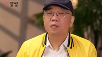 “六个核桃营销顾问”锐评鲁豫、梅婷、郎朗代言：“大脑袋”“花瓶”“效果差”