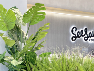 精品咖啡Seesaw运营公司被申请破产，估值一度达10亿元