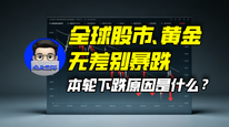 全球股市、黄金无差别暴跌，本轮下跌原因是什么？｜商业微史记