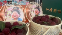 仙居杨梅迎集中上市季，种植户对行情保持乐观，“杨梅之乡”监管力度远超往年