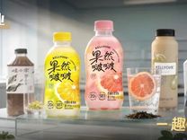 宗馥莉与娃哈哈“再切割”
