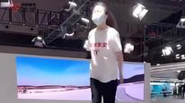 “特斯拉车顶维权”女车主再审申请被驳回