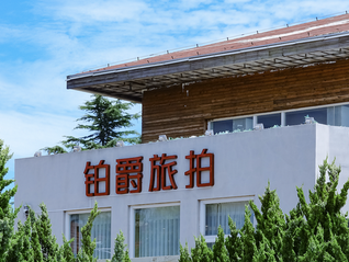 铂爵旅拍成“老赖”，被执行总金额超1.63亿元