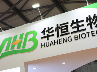 华恒生物董事长郭恒华被刑拘，公司H股上市连夜被停