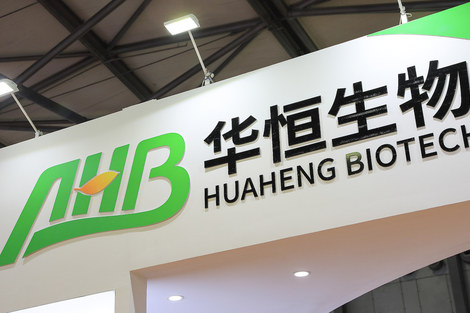华恒生物董事长郭恒华被刑拘，公司H股上市连夜被停