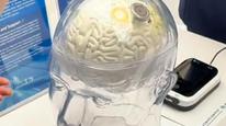 自研脑机接口“北脑一号”助瘫痪五年患者重新行走