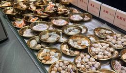 高端海鲜自助，集体降价自救