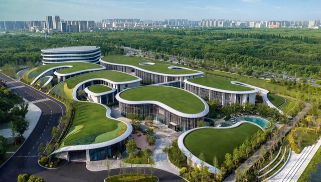 希尔顿推出面向会员的大熊猫主题研学，吉祥航空新开多条避暑航线 | 一周旅行指南