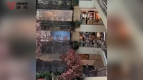 西安赛格国际购物中心公告：对商户负责人坠亡震惊悲痛，已与家属共同妥善处理完毕