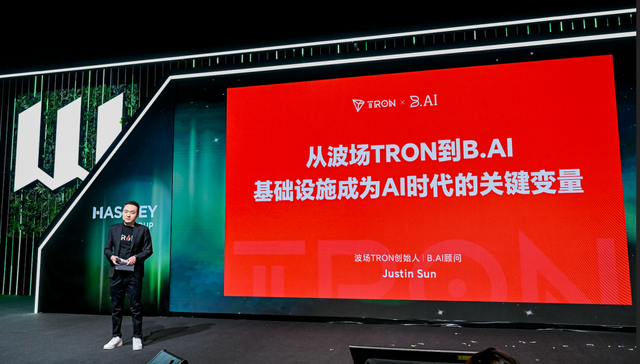白B.AI；用户规模；200万；多模型聚合平台；精细化服务阶段