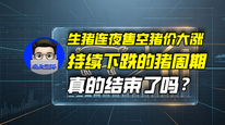 生猪连夜售空猪价大涨，持续下跌的猪周期真的结束了吗？｜商业微史记