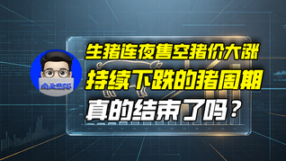 生猪连夜售空猪价大涨，持续下跌的猪周期真的结束了吗？｜商业微史记