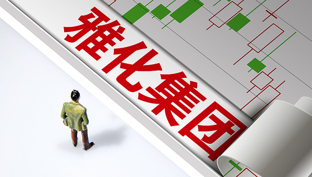 上半年净利预增超8倍；锂盐巨头；雅化集团；一字涨停