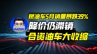 燃油车5月销量暴跌39%，降价仍滞销，合资油车大收缩｜商业微史记