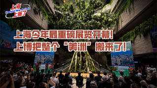 上海今年最重磅展览开幕！上博把整个“美洲”搬来了！｜上海上新了