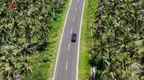 中国首个省份确认，海南：2030 年起禁售燃油车