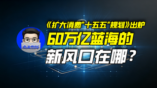 《扩大消费“十五五”规划》出炉，60万亿蓝海的新风口在哪？｜商业微史记