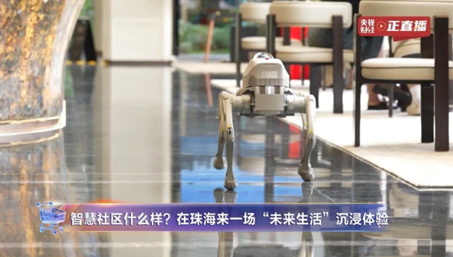 华发股份;2026上半年;经营韧性;稳守主业;多元赛道