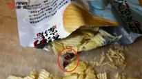 茶颜悦色薯片吃出蟑螂干，品牌方称已与消费者和解