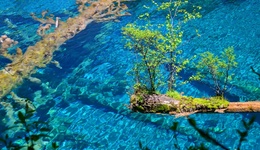地方新闻精选 | 九寨沟辟谣湖水靠染色才呈现蓝色 敦煌月牙泉水位十年累计提升2.5米
