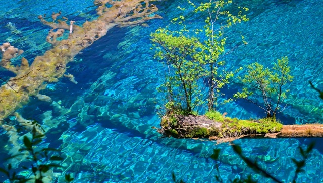 地方新闻精选 | 九寨沟辟谣湖水靠染色才呈现蓝色 敦煌月牙泉水位十年累计提升2.5米