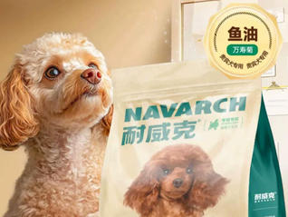 13岁宠物犬吃完狗粮后吐血身亡，耐威克回应
