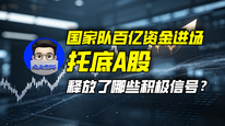国家队百亿资金进场托底A股，释放了哪些积极信号？｜商业微史记