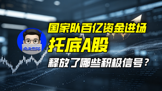 国家队百亿资金进场托底A股，释放了哪些积极信号？｜商业微史记