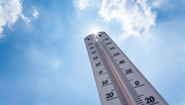 地方新闻精选 | 今年国家级气象站出现首个50℃ 渔业部门回应“海钓10条鱼4条有病”