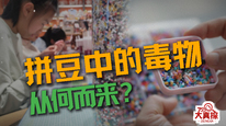 拼豆中的毒物从何而来？
