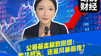 公募基金极致抱团：繁华尽头，还是风暴前夜？