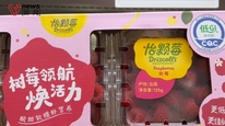 怡颗莓莓果线下仍在售，企业开展维权准备工作，此前称国内莓果均产自云南