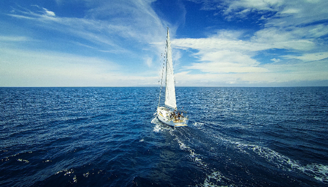 微创医疗;海外骨科业务;天智航