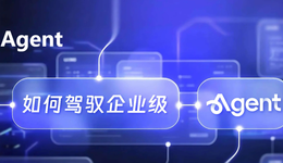 飞书钉钉，怎么就成了“老登”？