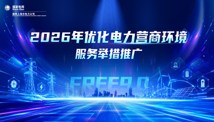 2026年优化电力营商环境服务举措推广