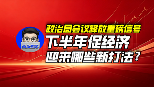 政治局会议释放重磅信号，下半年促经济迎来哪些新打法？｜商业微史记