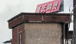 莫氏鸡煲凉了？莫叔：现在是最好的状态