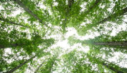 直通部委|生态环境法典首个配套司法解释发布 去年核电发电量同比增加7.6%