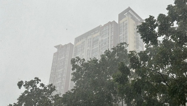 白海豚;热带风暴;暴风雨;京津冀