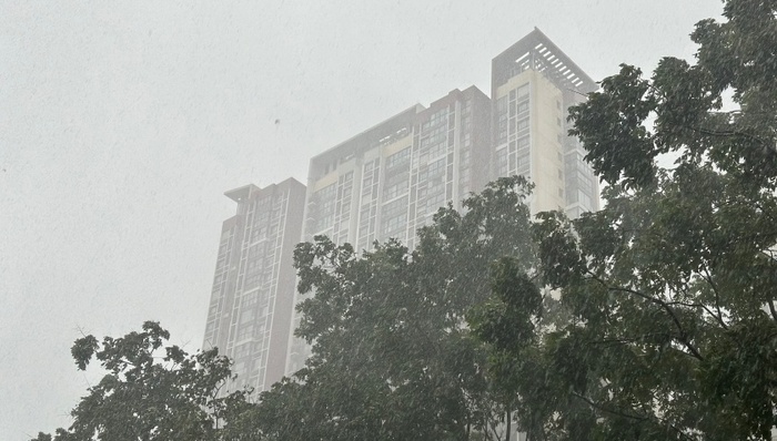 白海豚;热带风暴;暴风雨;京津冀