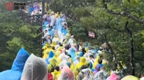 景区回应黄山台风天滞留大量游客