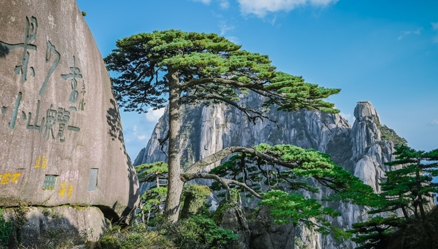 黄山；游客滞留；台风；防汛应急预案